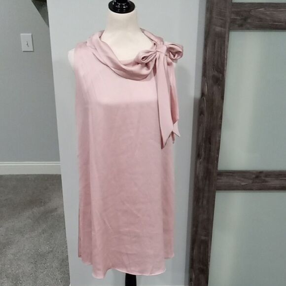 Signature By Robbie Bee Blush Hammered Satin Shift With Tie Detail Size 12P NWT - Picture 4 of 5